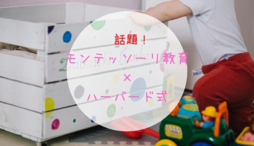 伊藤美佳さんの『モンテッソーリ教育×ハーバード式』でモンテ子育て