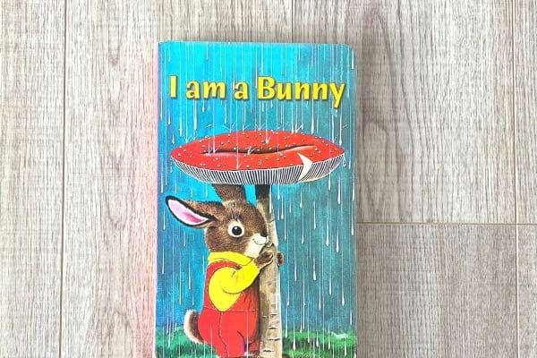 1歳英語絵本おすすめ I am a bunny